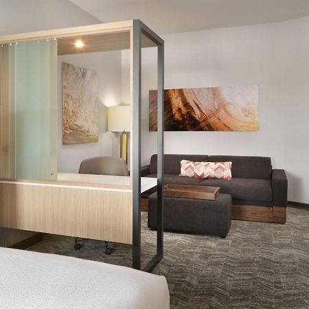 Springhill Suites By Marriott Jacksonville Baymeadows מראה חיצוני תמונה